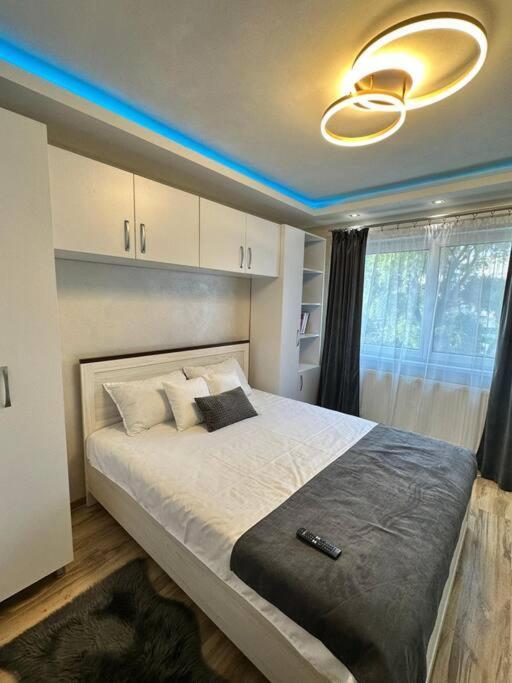 Stylish Apartment In Dambu Targu Mures Exterior photo